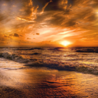 Meer